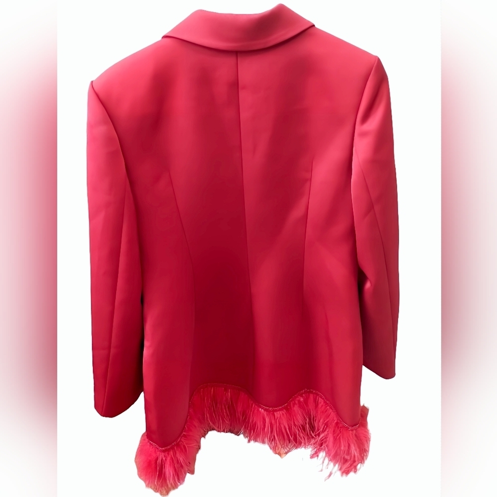 NWT 21SIX Red Rosa Taffeta Feather Blazer Dress Size XL - Picture 8 of 10